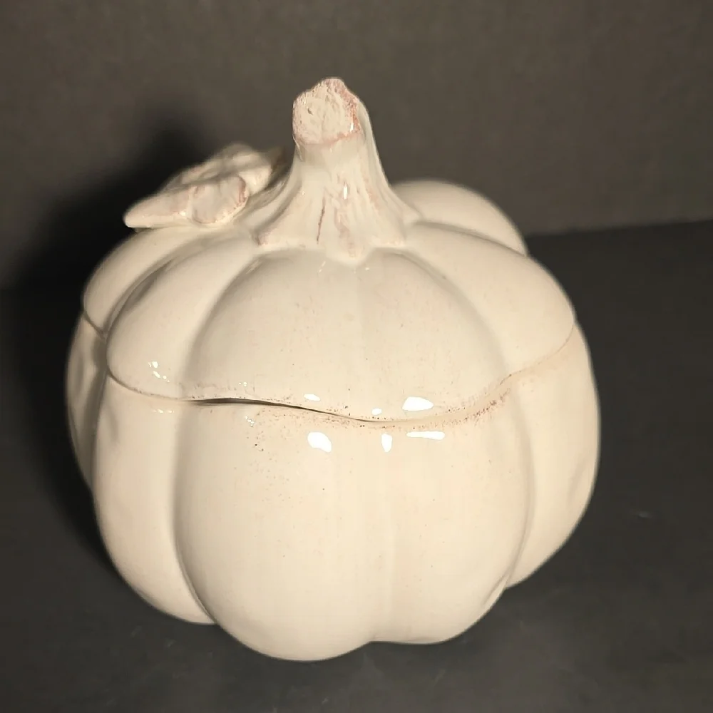 Pier‎ 1 Hand Painted Dolomite Ceramic Lidded Distressed White Pumpkin